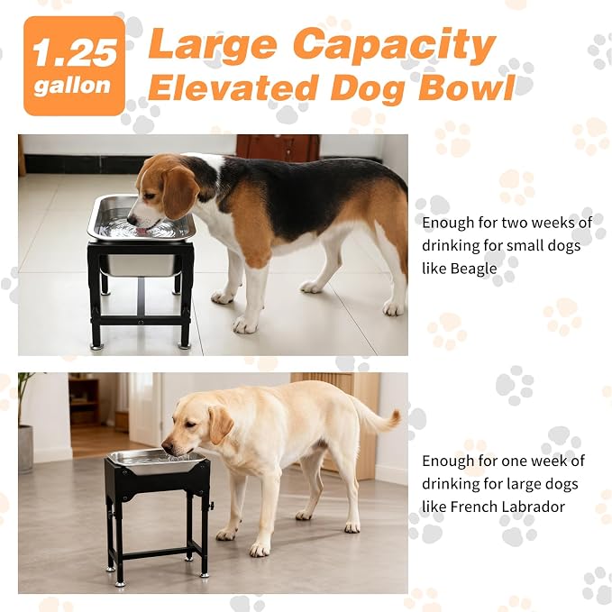 1.25 Gallon Elevated Dog Water Bowl, 4-Height Raised Stand | Stainless Steel Raised Bowl, 4 Heights 9.65-15.16 in, Non-Slip Feet, Small and Medium Dogs, Indoor Outdoor Use, Easy to Clean
