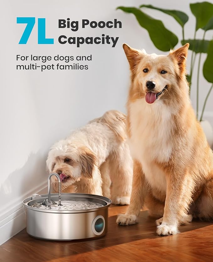 Oneisall Dog Water Fountain PWF002 with 1Filters | 304 Stainless Steel, Visual Water Level, 25dB Ultra-Quiet, 5-Stage Filtration, Dishwasher-Safe,Living Room Kitchen for Dog