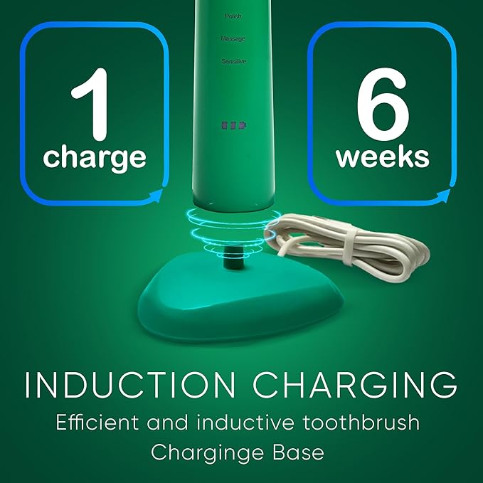 BIG MOUTH TOOTHBRUSH Dr Bobbi Electric Toothbrush for Adults Ultrasonic Rechargeable Toothbrush with 5 Cleaning Modes & 2-Minute Smart Timer Retains 42-Day Battery Travel-Ready Design – (Green)