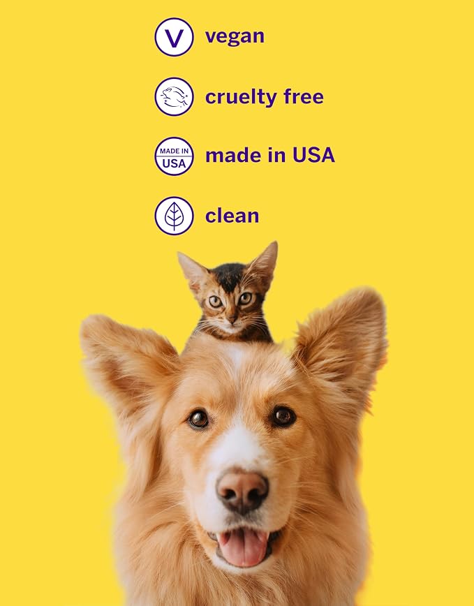 Petsmile Pet Teeth Brushing Kit, Toothpaste + Brush, London Broil 2.5 Oz | Toothpaste + 45° Patented Toothbrush, VOHC Accepted, Calprox® Powered, 4-Month Supply, Human-Grade, Clinically Proven