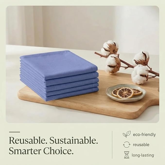 Urban Villa Kitchen Towels Cotton Dish Towels 20”x30” (Set of 6) Blue