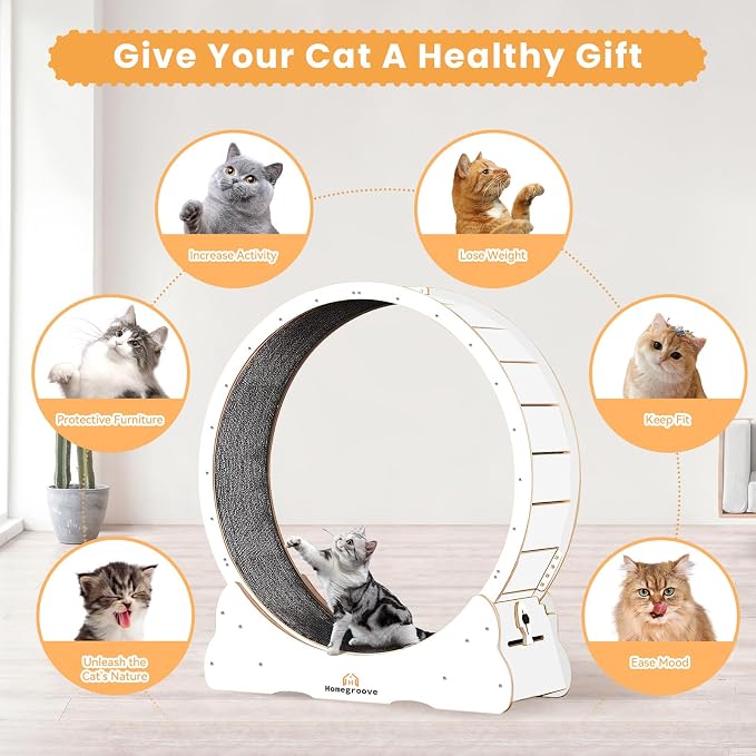 Homegroove Cat Running Wheel, 45" Large XL Cat Exercise Wheel Treadmill with Carpeted Runway, Sport Toy for Kitty’s Longer Life (XL, White)