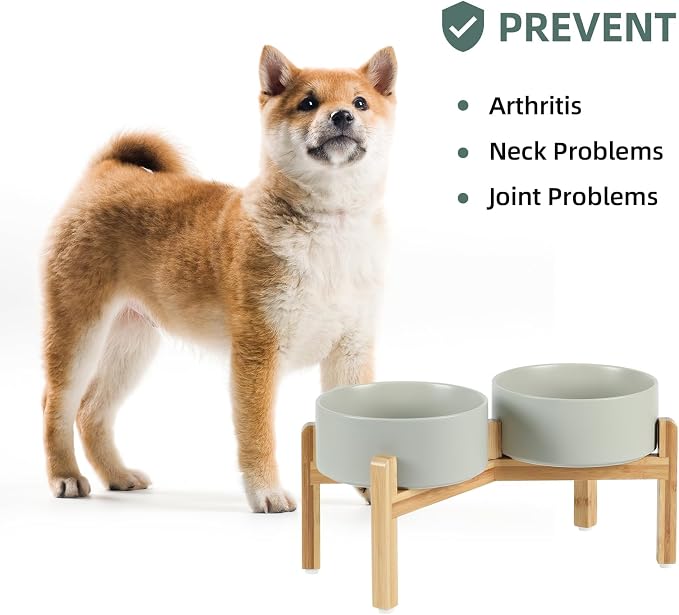 Havniva Dog Bowls Elevated, Ceramic Dog Food and Water Bowl Set | 7.3” Raised Dog Food Bowl, Elevated Dog Bowls with Bamboo Stand, Non-Slip Dog Water Bowl for Medium Dog, Large Capacity