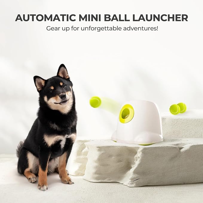 ALL FOR PAWS Automatic Dog Ball Launcher, Interactive Fetch Toy for Small to Medium Dogs, Pet Thrower Machine for Indoor & Outdoor Play, 3 Pcs 2-Inch Balls Included