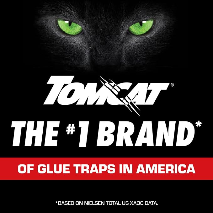 Tomcat Super Hold Glue Traps Rat Size, 2 Traps | For Rats, Mice, Snakes, Cockroaches, Spiders, and Scorpions, Ready-To-Use