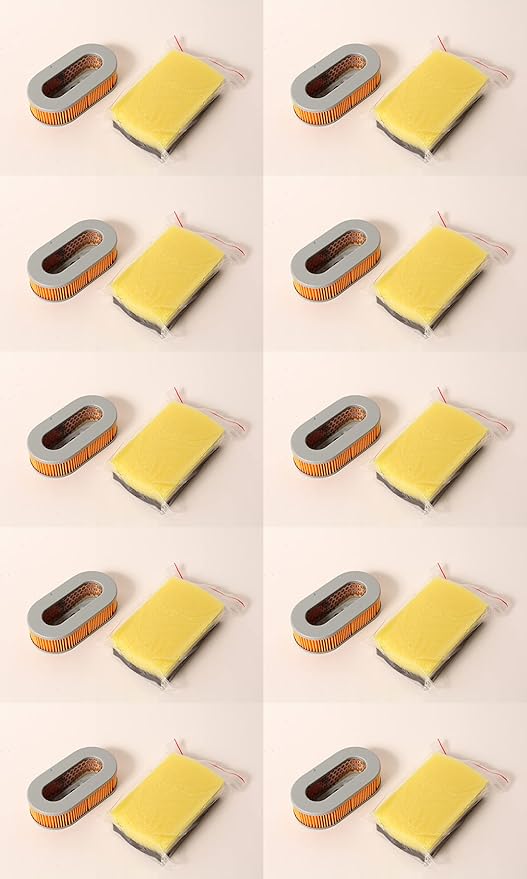 Rotary 10 PK Air Filter Kit Fits Mikasa 3660-10080 MTX50 MTX60 MTX70 MTX80 MTX90