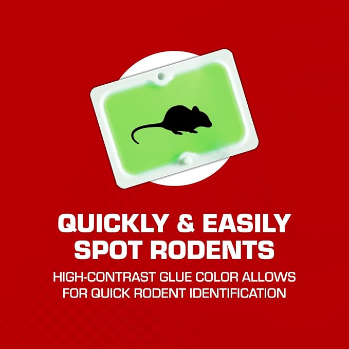 Tomcat Super Hold Glue Traps Mouse Size, 4 Traps | For Mice, Cockroaches, Spiders, and Scorpions, Ready-To-Use