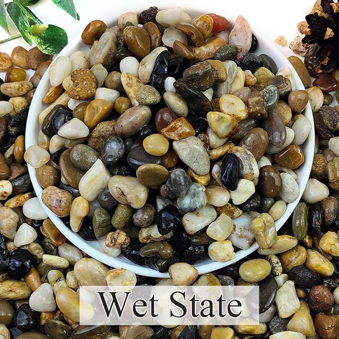 10lbs Natural River Rocks for Plants, 3/8" Aquarium Gravel | Decorative Polished Mixed Pebbles for Fish Tank, Gardening, Flower Pots, Vase Fillers, Indoor Water Fountains, Landscaping
