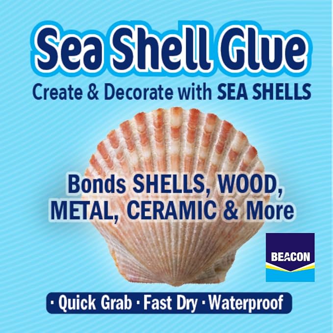 BEACON Sea Shell Glue for Creating and Decorating with Shells, Wood, Metal, Ceramic, and More, 2-Ounce, 12-Pack
