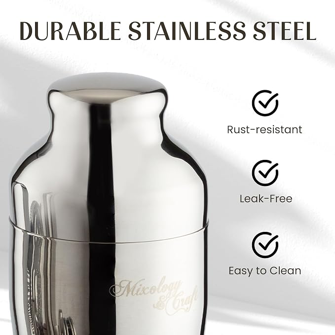 Mixology & Craft Cocktail Shaker Set with Bamboo Stand - Professional 10-Piece Bartender Kit, Complete Bar Set for Home Use with Jigger, Muddler, Strainer, Spoon, Pourers & Corkscrew (Silver)