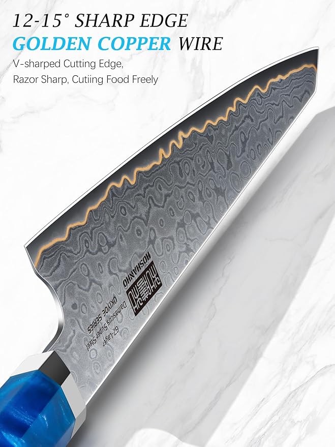 HOSHANHO 8" Damascus Chef Knife, 67-Layer Damascus Steel Kitchen Knife | Ultra Sharp Japanese Cooking Knives, Ergonomic Blue Resin Stabilized Wood Handle with Wood Gift Box