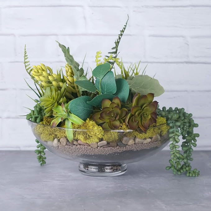 CYS EXCEL Glass Decorative Footed Bowl (H:4.5" D:12") | Fruit Display & Terrarium Bowl | Compote Vase & Kitchen Table Centerpiece