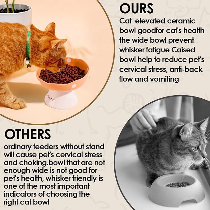 Red and Orange Mushroom Cat Bowl Set, 2PCS Elevated Ceramic Bowls for Cats | Cute Mushroom Set, Elevated, Ceramic, Whisker Friendly, Multi-Cat