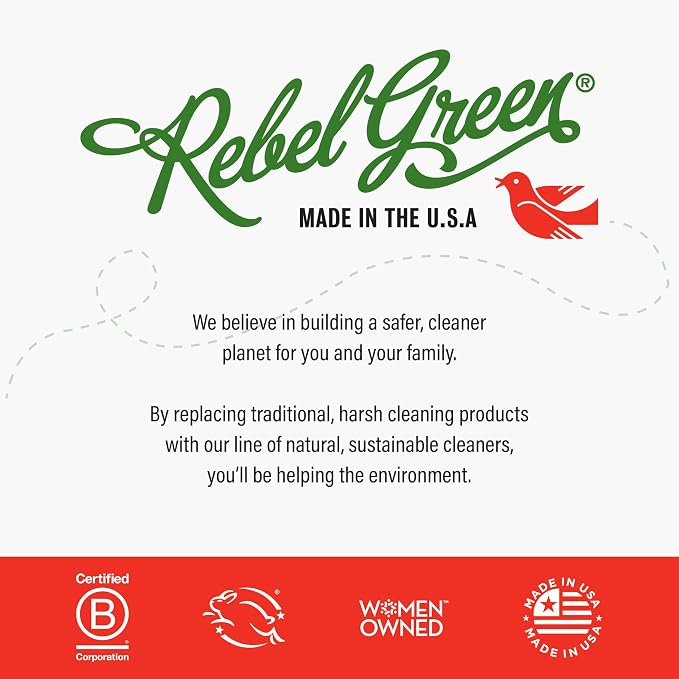 Rebel Green Super Deluxe Dish Soap - Plant-Based Sustainable Dishwashing Soap - Chai Tea Scent - 16 fl oz - 2 Pack