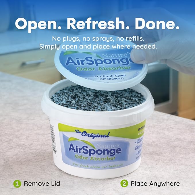 Nature's Air Sponge Odor Absorber, 1 Lb - 6 Pack, Set of 6