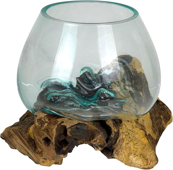 Planter Terrarium with Molten Glass Bowl on Driftwood, 7.5 Inch | Natural Base Varies by Piece, 3.5 Inch Opening, 4 Inch Center Depth, Freestanding for Shelves or Desks