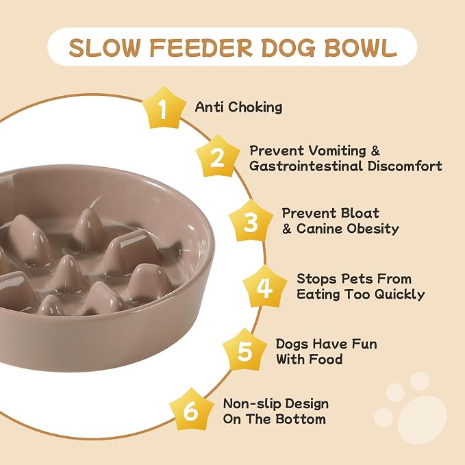 Havniva Elevated Slow Feeder Dog Bowls, Ceramic Dog Bowl Slow Feeder Set | 0.9 Cups Raised Slow Feeder Dog Bowl for Small Breed, 6.1” Dog Water Bowl with Wooden Stand, Puzzle Dog Food Bowl, Non-slip