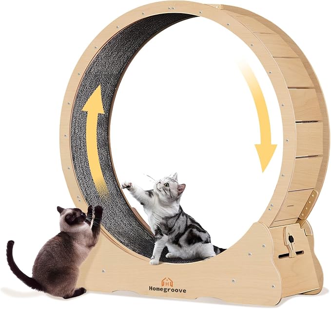Homegroove 35.4 Inch Cat Exercise Wheels for Indoor Cats, Versatile Cat Toy Running Wheel Treadmill with Detachable Carpet for Weight Loss and Health, Natural Wood Color(M)