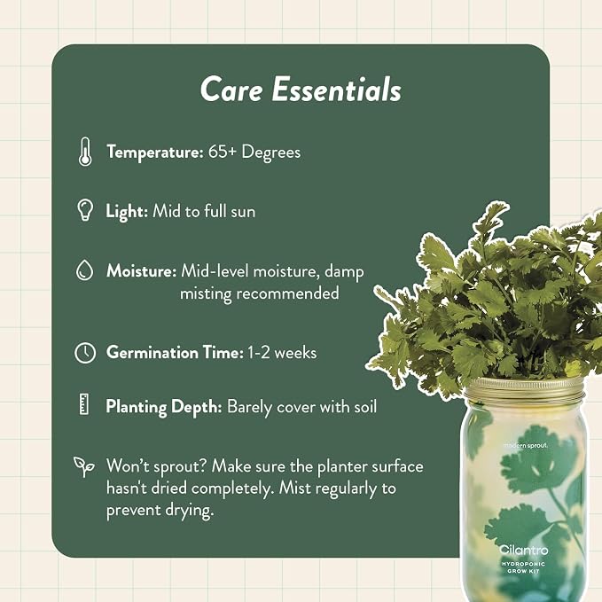 Modern Sprout Mason Garden Jar + Replant Kit - Self-Watering Hydroponics Growing System Kit w/Organic Herb Seeds - Jar Planter for Indoor Herb Garden - Seed Starter - Gift for Mother's Day - Cilantro
