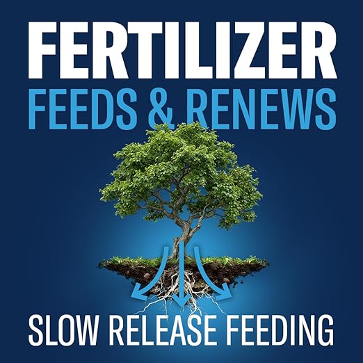 BioAdvanced 12 Month Tree and Shrub Protect and Feed, Granules, 4 lb, Insect Killer, Tree Fertilizer & Plant Food