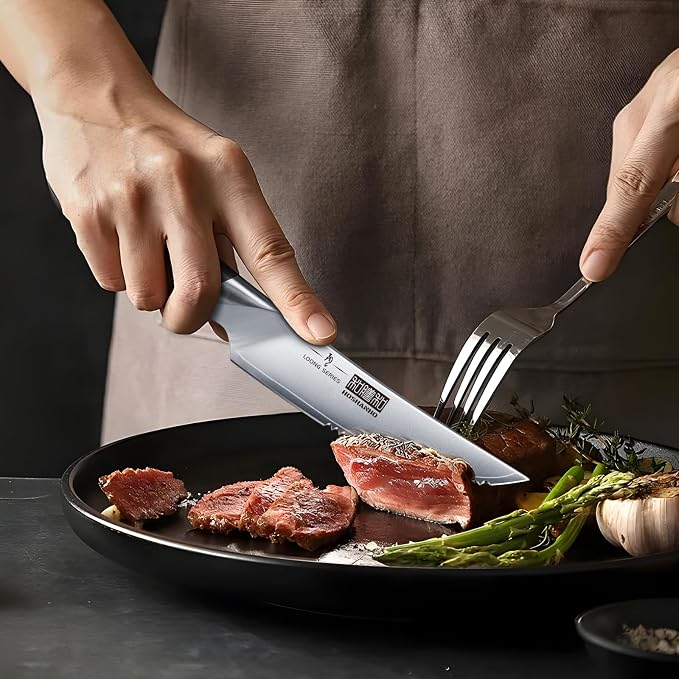 HOSHANHO Steak Knives Set of 6, Ultra Sharp 4.5 In Serrated Steak Knife Set | Japanese High Carbon Stainless Steel Kitchen Steak Knives with Ergonomic Pakkawood Handle, Ideal Gifts