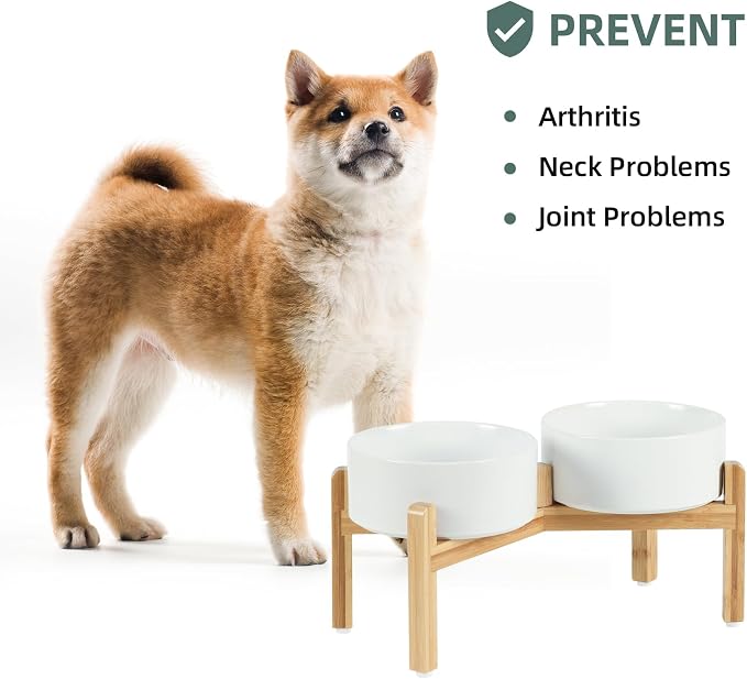 Havniva Dog Bowls Elevated, Ceramic Dog Food and Water Bowl Set | 7.3” Raised Dog Food Bowl, Elevated Dog Bowls with Bamboo Stand, Non-Slip Dog Water Bowl for Medium Dog, Large Capacity