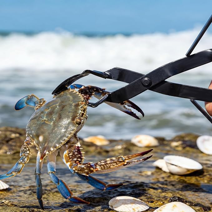 2 Pcs Crab Tongs for Live Crabs, 15.24" Heavy Duty Crab Grab Claws for Seafood Handling, Ideal for Crabbing & Seafood Processing, Keeps Your Fingers Safe and out of Harm's Way, Black