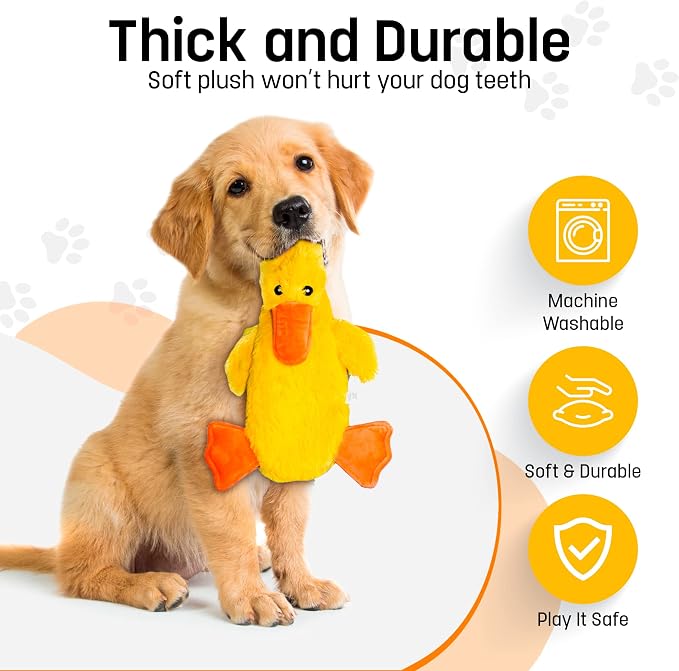 FGA MARKETPLACE Duck-Monkey Flat NO Stuffing NO Squeak Plush Dog Toy, Funny Style Will Entertain Your Pet for Hours, Recommended for Small and Medium Dog 21 INCH Long