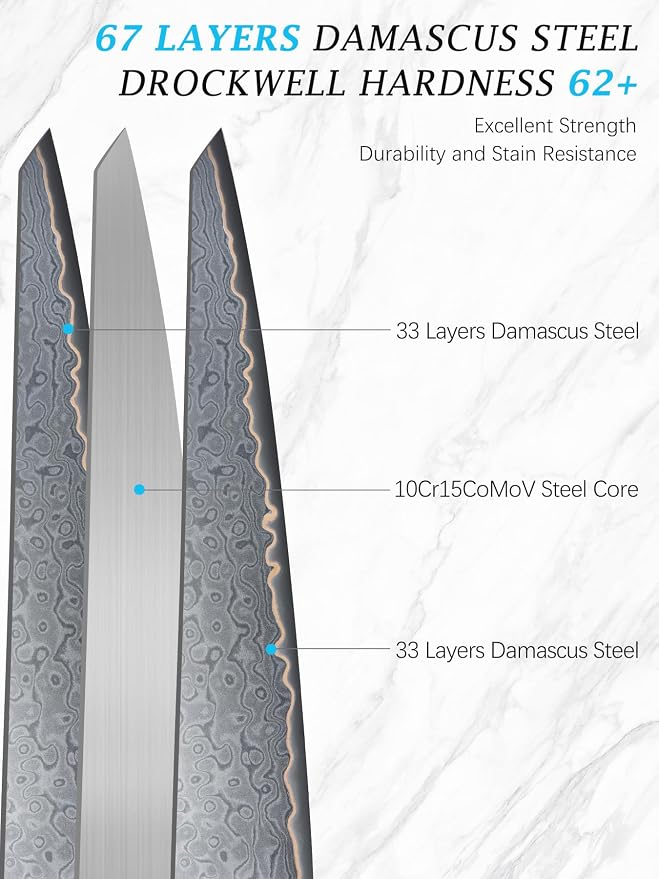 HOSHANHO 8" Damascus Chef Knife, 67-Layer Damascus Steel Kitchen Knife | Ultra Sharp Japanese Cooking Knives, Ergonomic Blue Resin Stabilized Wood Handle with Wood Gift Box