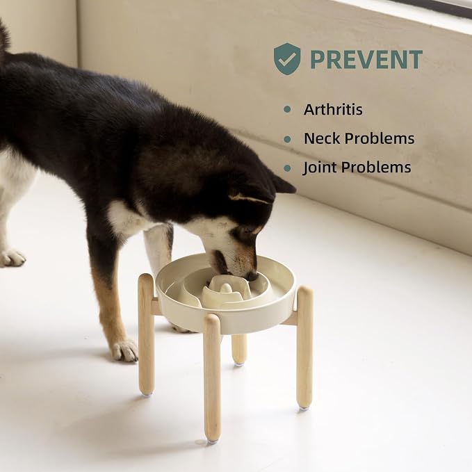 Havniva Elevated Slow Feeder Dog Bowls, Ceramic Dog Bowl Slow Feeder | 1.6 Cups Raised Slow Feeding Bowl for Medium Breed, Puzzle Dog Food Bowl with Wooden Stand, Non-Slip, Anti-Choking