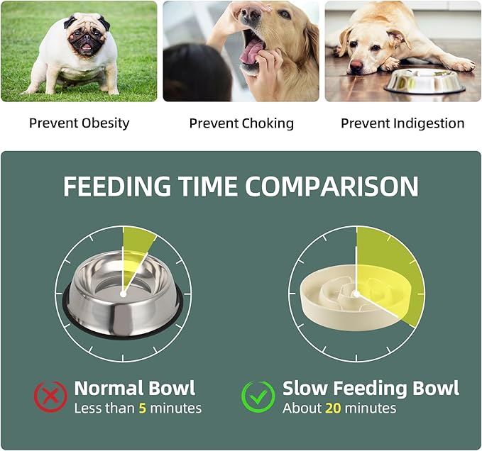 Havniva Elevated Slow Feeder Dog Bowls, Ceramic Dog Bowl Slow Feeder Set | 1.2 Cups Raised Slow Feeder Dog Bowl for Small Breed, 6.1” Dog Water Bowl with Wooden Stand, Puzzle Dog Food Bowl, Non-slip
