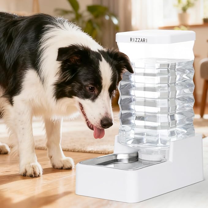 RIZZARI 10L Filtered Dog Water Dispenser:Gravity Auto Refill | Wide-Mouth Easy Cleaning/Fresh Water Filtration/Modern Home Appearance/Hassle-Free Refilling/Daily Hydration Support
