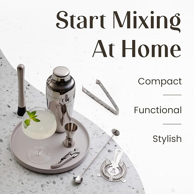 Mixology Cocktail Shaker Set - 10-Piece Cocktail Making Set - Home Bartender Kit in Bamboo Stand with Spoon, Boston Shaker, Other Tools for Drink Mixing, Martini, Mocktail - Gift Set (Silver)