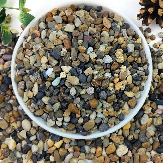 10lbs Natural River Rocks, 1/4" Aquarium Gravel Small Rocks for Plants Pea Gravel for Fish Tank, Decorative Pebbles for Gardening, Flower Pots, Vase Fillers, Indoor Water Fountains, Landscaping | for Plants Pea Gravel for Fish Tank, Decorative Pebbles ...