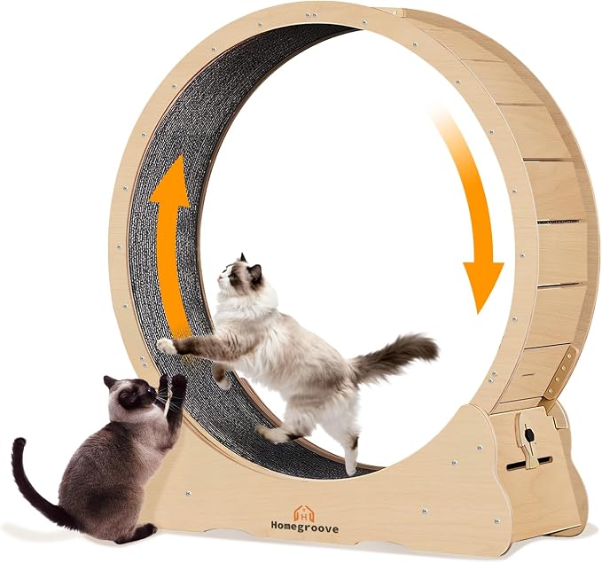 Homegroove XXL Cat Exercise Wheel, 52"/132cm Large Cat Wheel, Solid Wood Cat Treadmill with Integrated Safety Lock, Spine Alignment Design for Large Indoor (XXL, Natural Wood)