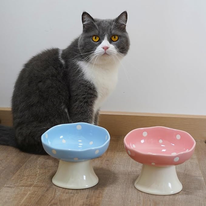 Pink Mushroom Cat Bowl, Elevated Ceramic Feeding Bowl | Elevated, Ceramic, Tilted Design, Whisker-Friendly, Dishwasher Safe, cute