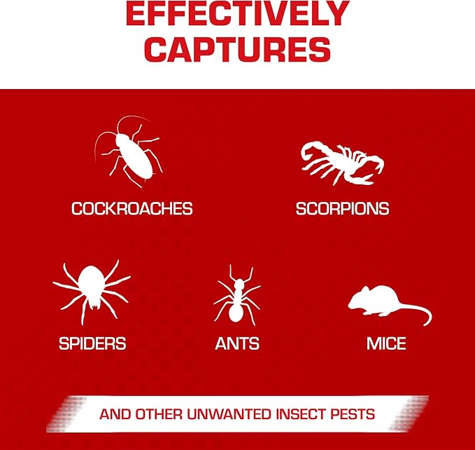 Tomcat Glue Boards with Eugenol for Enhanced Stickiness, 104 Boards | Sticky Traps for Mice, Cockroaches & Insects, Flat or Covered Use, Ready-To-Use, 26 Packages Each with 4 Glue Boards