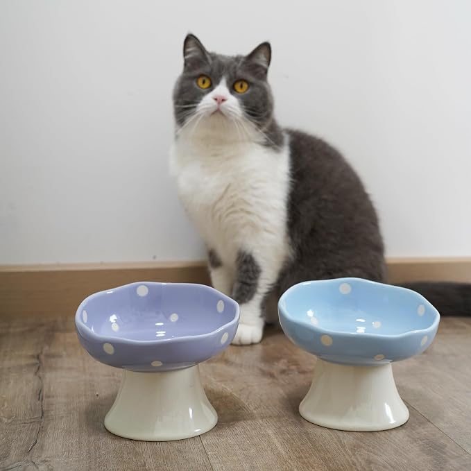 Purple Mushroom Cat Bowl, Elevated Ceramic Bowl for Cats | Elevated, Ceramic, Whisker Friendly, Wide Opening, Dishwasher Safe,durable