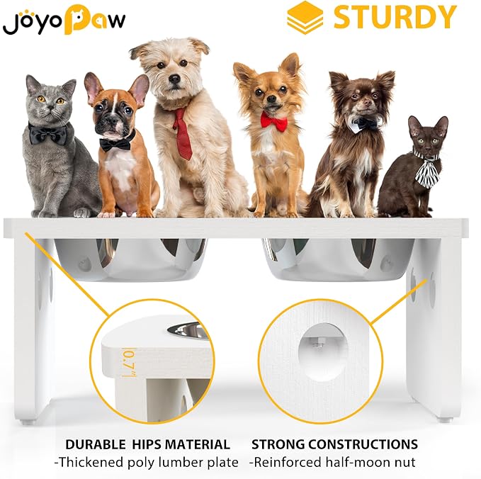 Elevated Dog Bowls, Waterproof Raised Dog Bowl for Medium & Large Dogs, HIPS Poly Lumber Stand with 2 Stainless Steel Bowls, Indoor & Outdoor Use (13'' Tall–68 oz Bowl, White)
