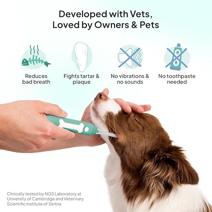 Electric Dog Toothbrush Large | Silent and Vibration-Free | Vet-Developed Electrolytic Technology | No Toothpaste Needed | Built-in Timer and App | Large Brush Head for Dogs Over 44 lbs