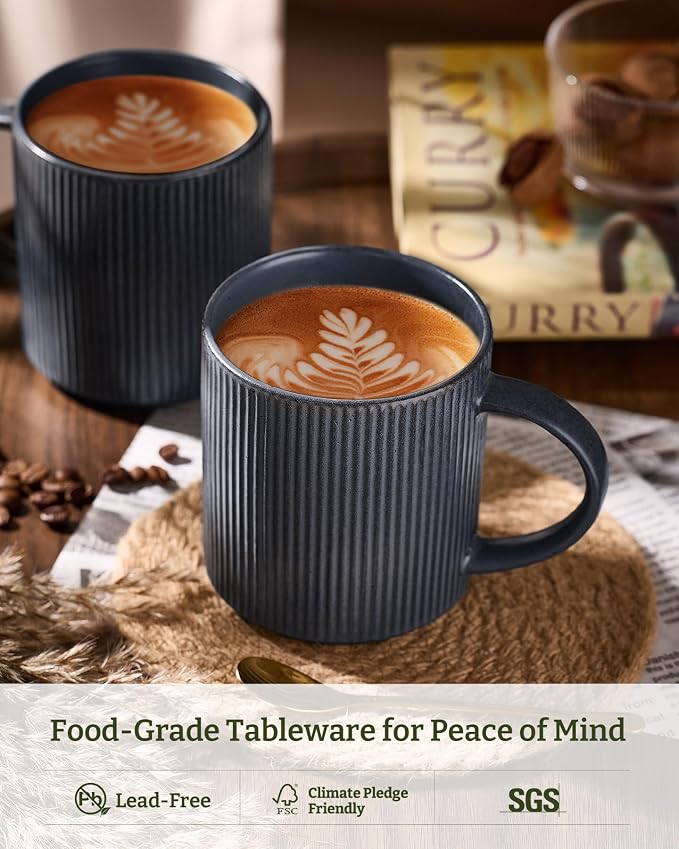 famiware Coffee Mug Set for 4, Star 16 oz Catering Mugs Cup Set with Handle for Coffee, Tea, Cocoa, Milk - Ceramic Stoneware Drinkware Set, Matte Dark Charcoal