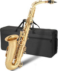E Flat Alto Saxophone, Brass Sax with Carry Case, Golden | Saxophones Include Mouthpiece, Cleaning Brush, Cloth, Strap Accessories, For Beginner Student and Professional