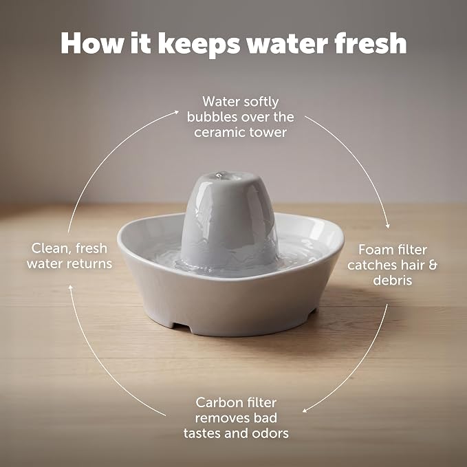 PetSafe Creekside Ceramic Pet Fountain, 60 Oz, 4-Pack Carbon Filters | 60 Oz Capacity, Whisper-Quiet Flow, Includes Carbon Filters, Top-Rack Dishwasher Safe