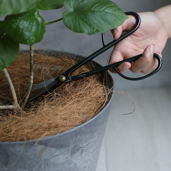 Wazakura Twig Bonsai Scissors Made in Japan 210mm(8.15 inch), Japanese Bonsai Garden Tools, Hasami Pruning Shears - Long Handle Black