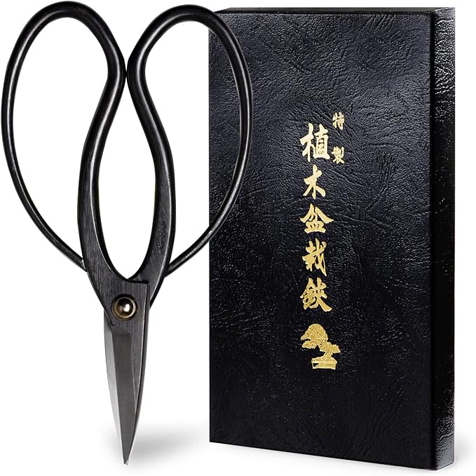 Hanafubuki Wazakura Bonsai Scissors Made in Japan 7inch(180mm), Japanese Bonsai Garden Tools, Hasami Pruning Shears - Traditional