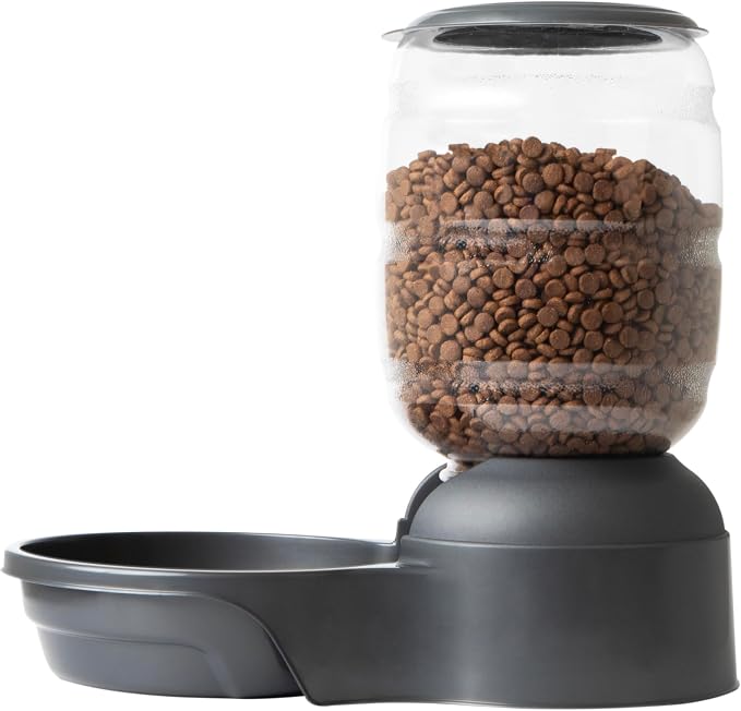 Petmate Replendish Automatic Dog Feeder Gravity Pet Treat Dispenser with Microban Protection Base, Wide Mouth Bowl, 100% BPA Free - 10 lb