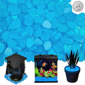 NAMTSO Blue Glow in the Dark Rocks Outdoor Garden Decor, 1000 pcs, 4.6 lbs | Large 0.6"-1.1"/pc, Resin Glowing Pebbles, Luminous Stones for Landscaping, Patio, Backyard, Lawn, Aquarium & Fish Tank Decor