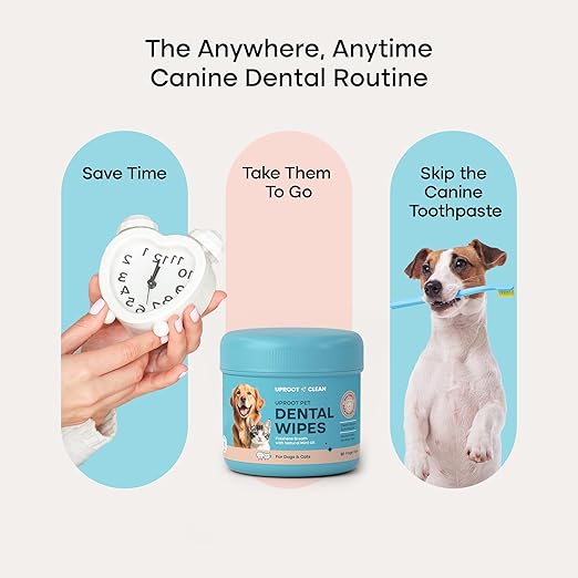 Uproot Cleaner Pro Pet Hair Remover & Dental Finger Wipes Set: The Ultimate Pet Hair Removal Tool for Non-Knit Surfaces & Cat and Dog Teeth Cleaning Wipes for Plaque, Tartar, & Breath