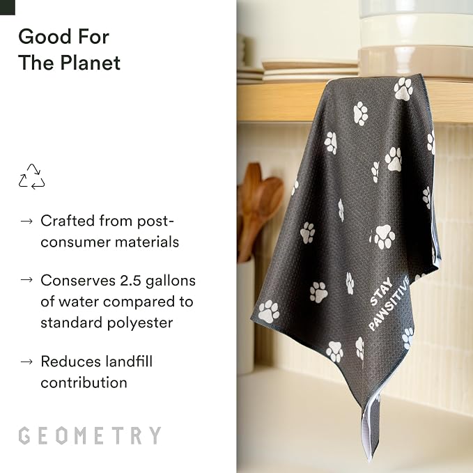 GEOMETRY Stay Pawsitive
