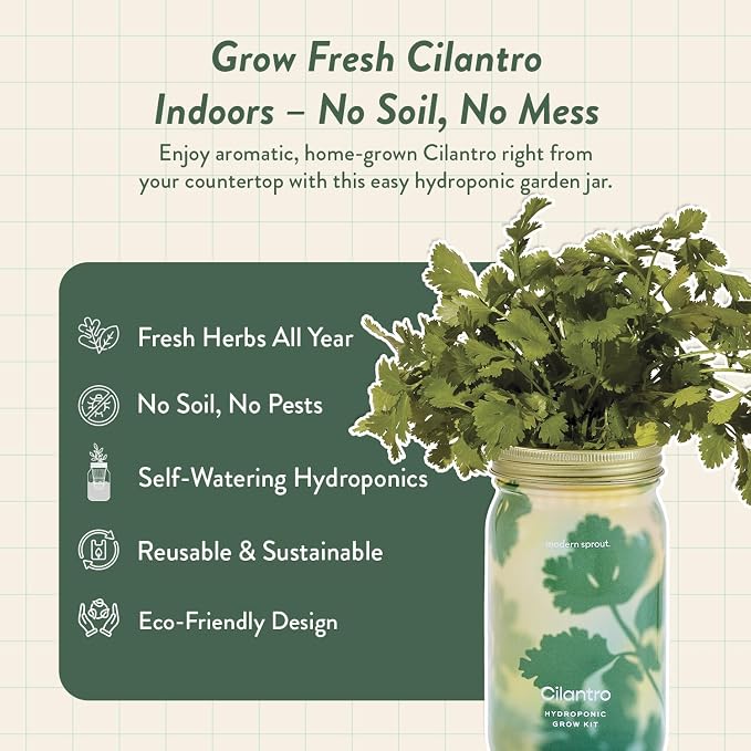 Modern Sprout Mason Garden Jar + Replant Kit - Self-Watering Hydroponics Growing System Kit w/Organic Herb Seeds - Jar Planter for Indoor Herb Garden - Seed Starter - Gift for Mother's Day - Cilantro
